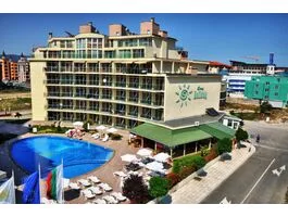 Санни Холидей