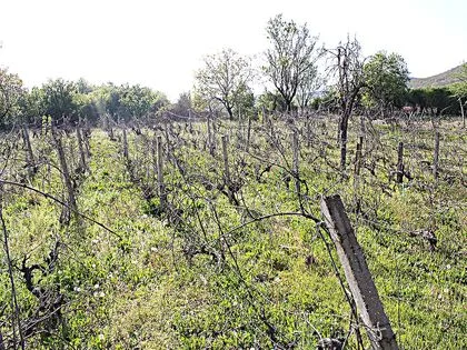 Купить ID2212 Дом с участком земли в селе Горица в Болгарии