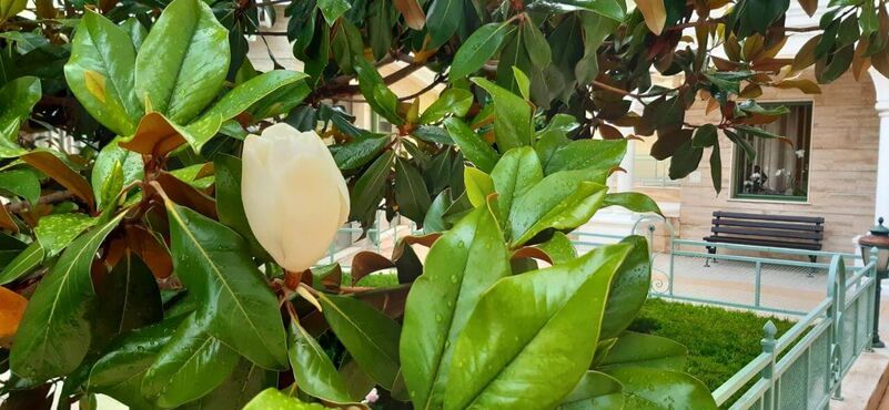 Купить недвижимость в Болгарии, комплекс Сплендид