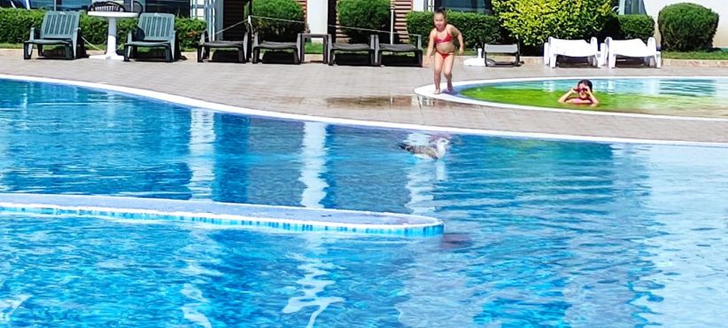 Купить недвижимость в Болгарии, комплекс Жилой комплекс Sun City 1 - Солнечный берег