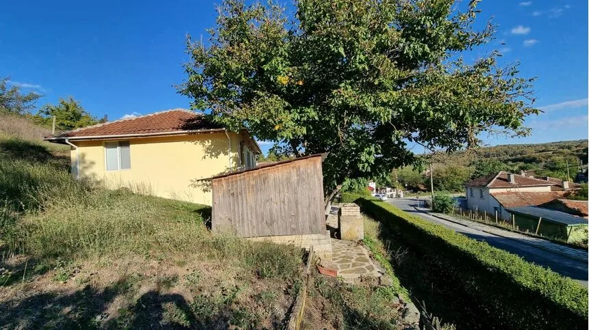 ID5454 Одноэтажный дом с большим участком земли в селе Ново Паничарево